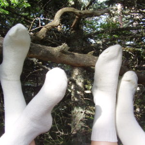 calcetines blancos de lana sobre arbol