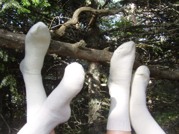 calcetines blancos de lana sobre arbol